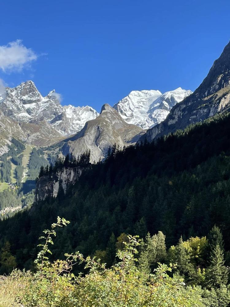 montagne ete (7)